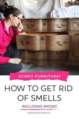 How to Remove Mold from Furniture: A Journey Through Time and Space